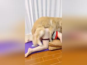 forbidden pleasures explored