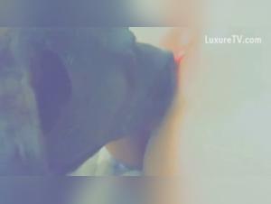 Bestiality Video: female dog and Her Best Friend