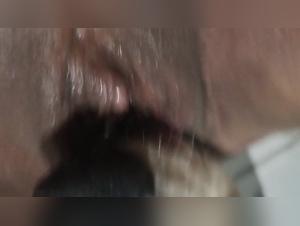 Exploring pleasure with a lesbian zoophile