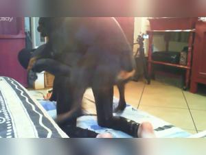 Primal Desires: Unveiling Latex & Animalism