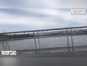 AOZ Nikita - An Intense Zoophilia Experience