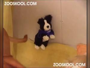 Zooskool: The Surreal Summer Experience