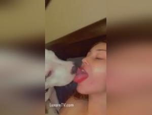 Dog Sex Video: An Extreme Experience