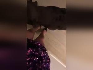 An Intimate Connection: A Woman and Her Four-Legged Best Friend