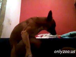 Raw Desire: Canine Sexuality Unleashed