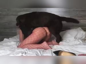 Hundin sexierte bis zum Mouchoir - das unheimliche Video von Zoo