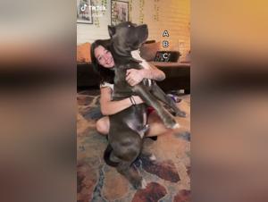 Extreme Bestiality: Zoophilia Video with a Dog