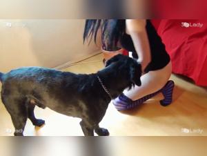 Beastiality with dog: K9lady Ariel presents an animated sex session