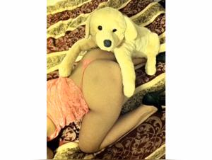 Placeres Prohibidos: Zoo Tube y Erotismo Animal