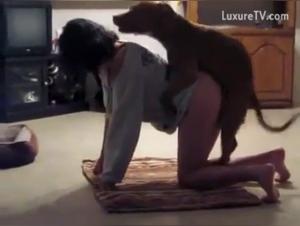 Sex video with a dog: an extreme experience