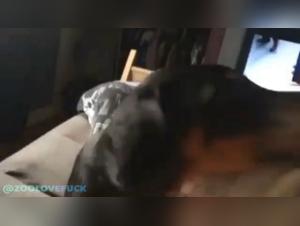 zoofiliaxxx beastlity asian