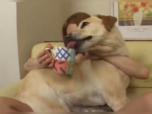 Lesbian exploration between an Asian woman and a female dog