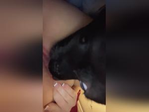 small dog, endless fun