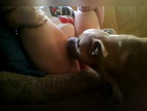 Bestiality sex videos with dogs