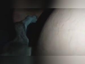 Bestiality with a Latin woman and her dog