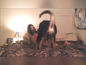 hot homemade knot bestiality free