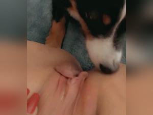 Untamed Primal Desires