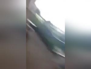 Bestiality with a Dog