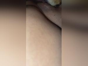 Vidéo de sexe bestialité: femme et chihuahua