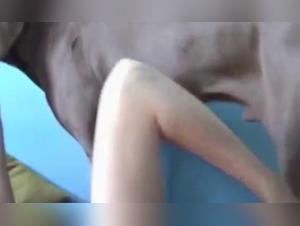 Beautiful Girl and Her Best Friend on Four Legs - Without Sound