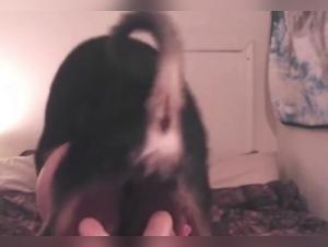 Unfaithful woman and her dog: a beastly video