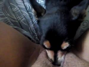 Deep Lick: A bestial and intense encounter on video