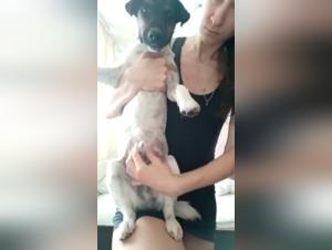 Zoophilia with a Russian and Her Dog