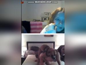 Bestiality sex videos with dogs