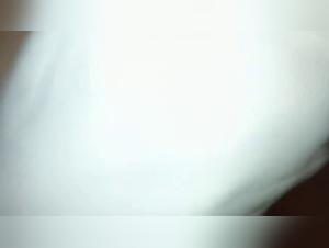 Bestial encounter: a woman and a dog