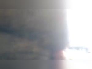 Vidéo de sexe bestialité : chien et jeune homme