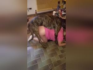 Cheating Wife Fucked By Dog While Husband Watches - Shocking Bestial Video