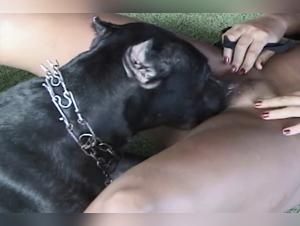 Sasha and her canine companion in an intense zoophilia video