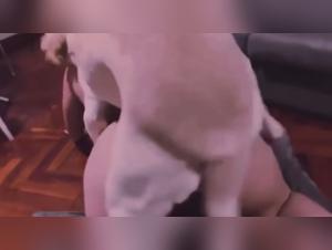 Un experimento interesante : hacer cules con gatos!