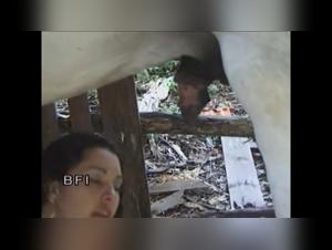 Deep Dive into Zoosexual Content