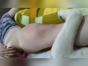 Video of zoophilia with a dog - An extreme sexual experience