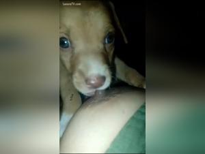 zooyouporn revelations