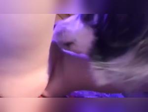 Zoophilia video: dog licking his mistress