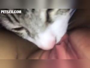 Greedy Feline: A Happy Cat Thanks to a Four-Legged Friend