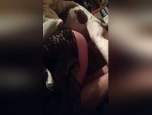 Amateur Video - Sex with Dog