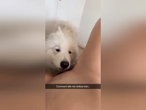 Shocking Bestiality Encounter: Slut and Brother's Dog