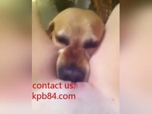 Une teen et son chien dans une vidéo de bestialité