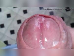 Forbidden Sex - Bestiality Video