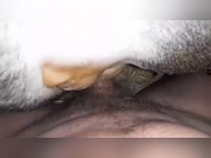 Descubriendo lo Tabu: El Mundo del Sexo Animal