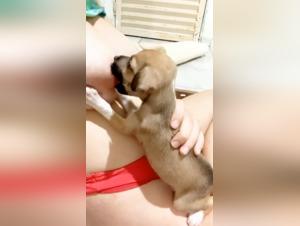 Bestial Experience: Sex with Dog