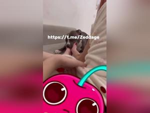 videos zoofilia pour adultes