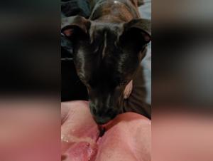 Woman and dog: an intimate and exciting relationship