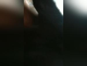 Exclusive Bestiality Videos: Man's Best Friend