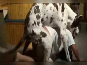 Video de bestialidad extrema: mujer dominada por su perro