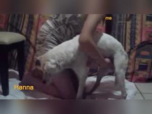 Sex with Dogs Videos
