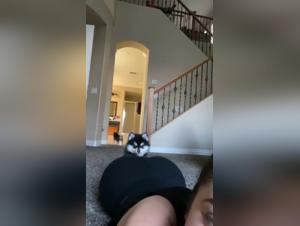 Unusual Encounter: Woman and Dog